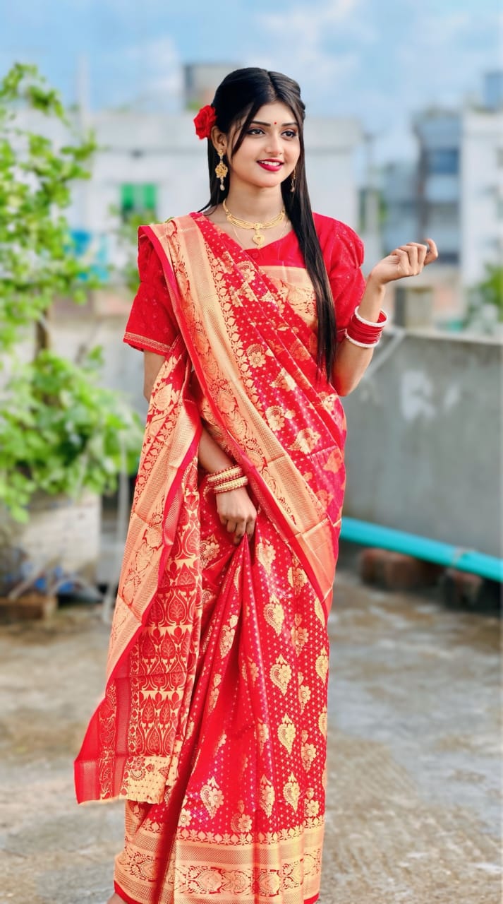 Soft silk katan sharee (without blows )